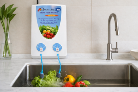 Máy khử độc rau quả thực phẩm 2 vòi Corona Plus